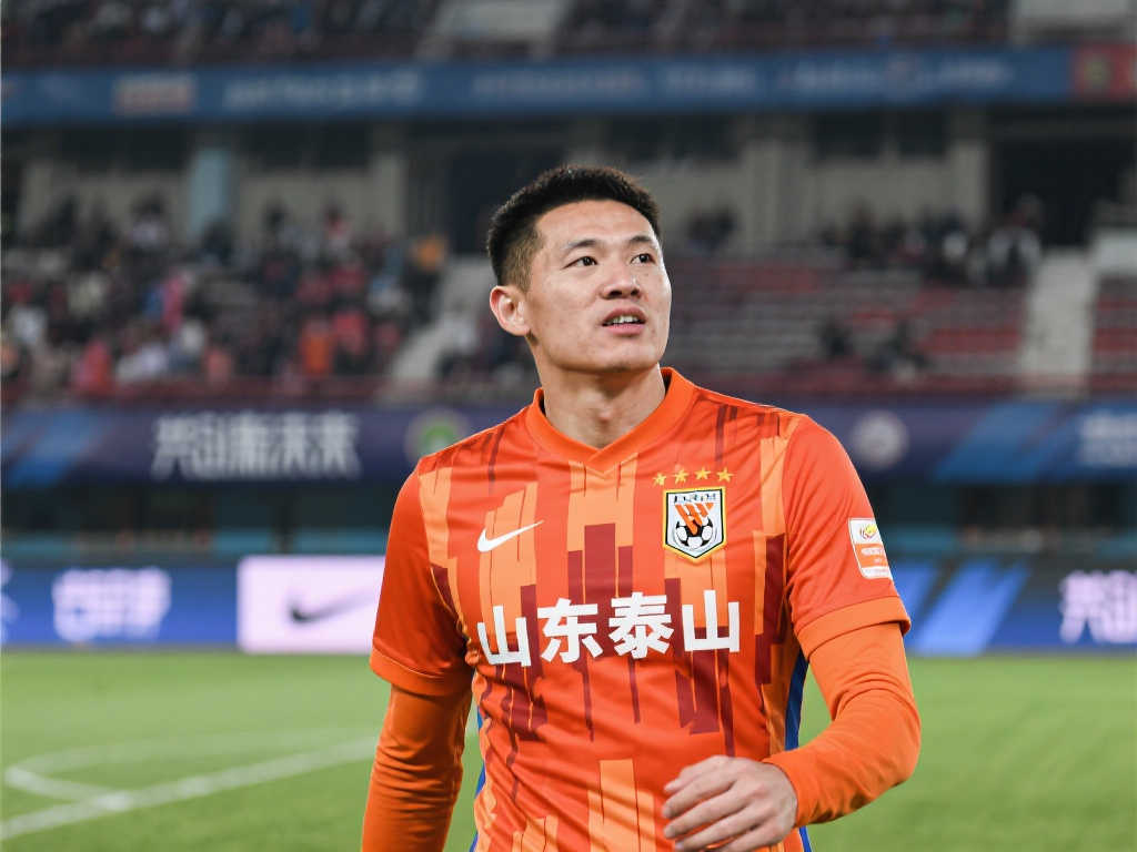 的组织和调